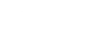 Homepage 4 white logo transparent bg